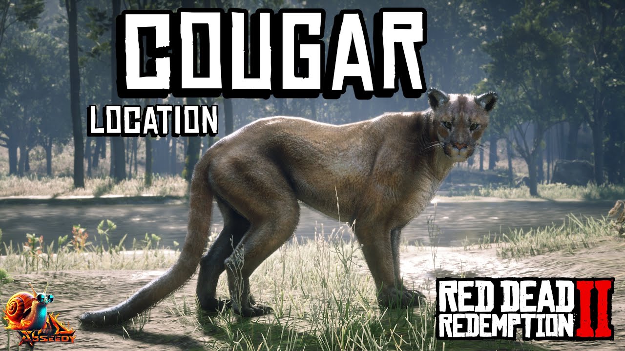 Cougar Location - Red Dead Redemption 2