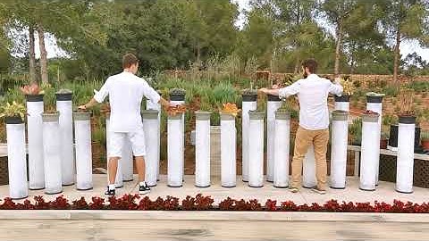 Bioo Installations - Creating Music with Plants