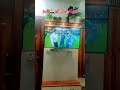 india won the T-20 world cup2026💗🔥 #viral #ytshorts #cricketlover #cricketnews #cricketshorts#live