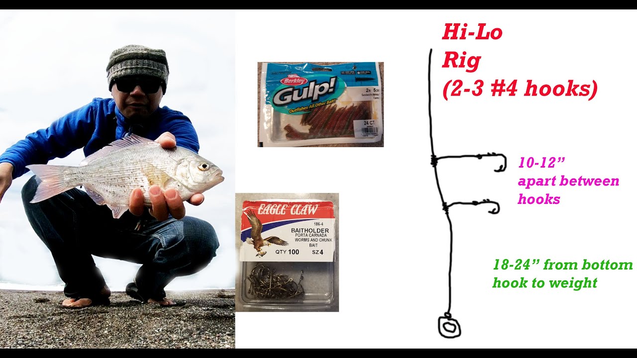 How to catch Redtail Surf Perch. Rig setup, bait, and hooks. Port