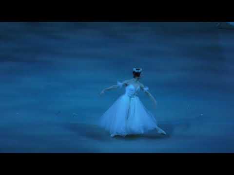 Видео: 21/11/2020 Act II Giselle  Mariinsky corps de ballet  wilis