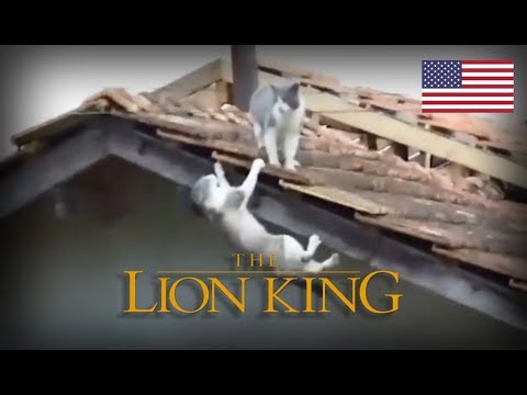 cats-the-lion-king