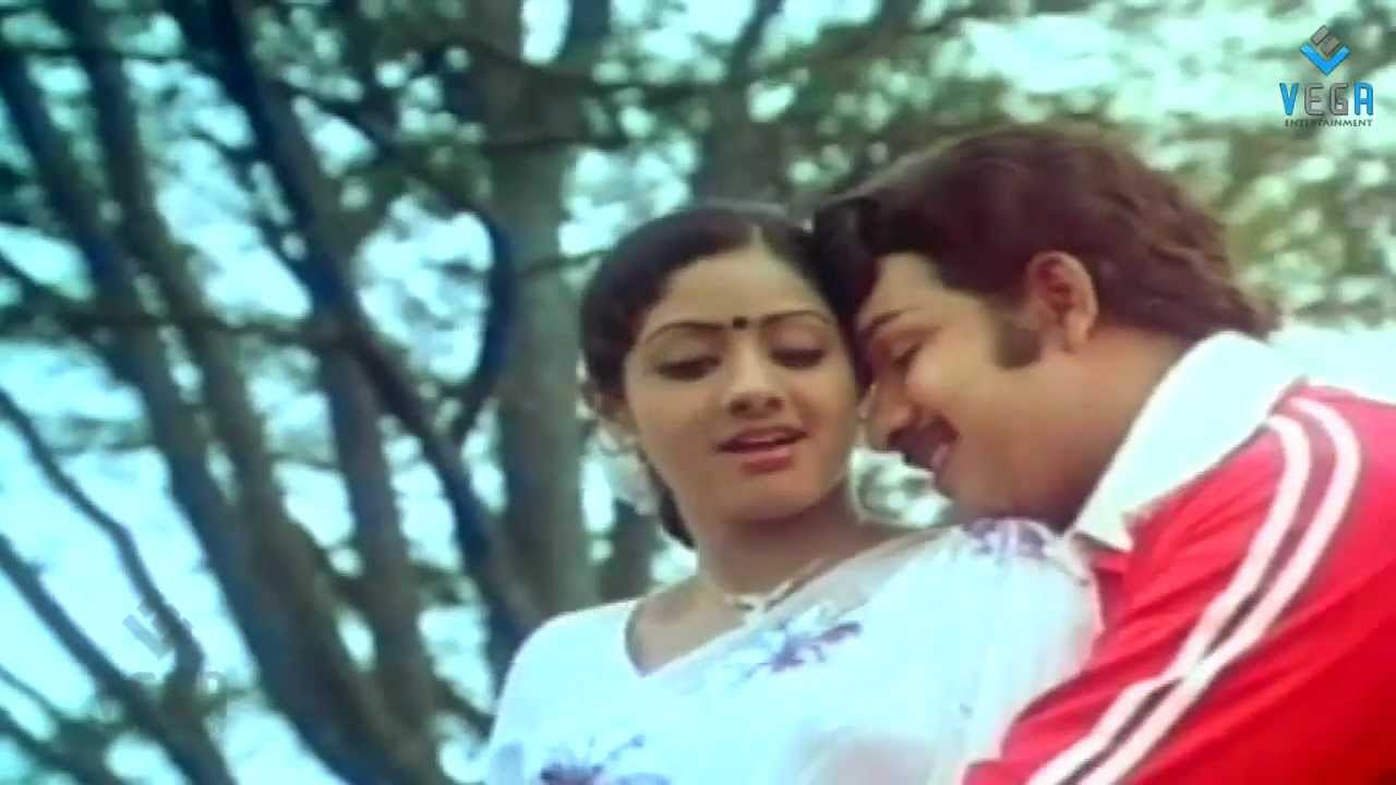 Ponnaram Poovaram Pakalil Oru Iravu  Illayaraja Hit Song