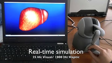 Haptic Portable
