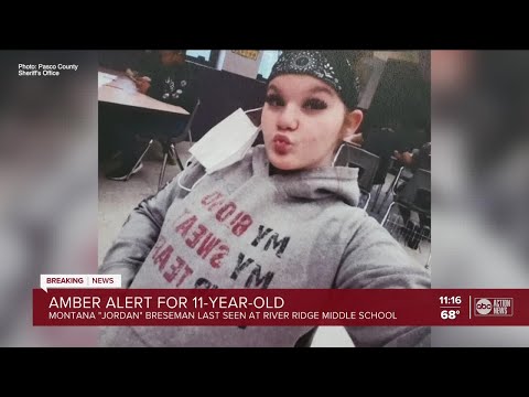 Update on Amber