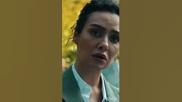 فخامة المشهد الصيف الاخير Shorts 