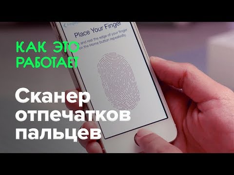Как работает сканер отпечатков пальцев
