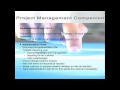 Project Management Companion Project Delivery Steps Stage 4 Implementation Phase