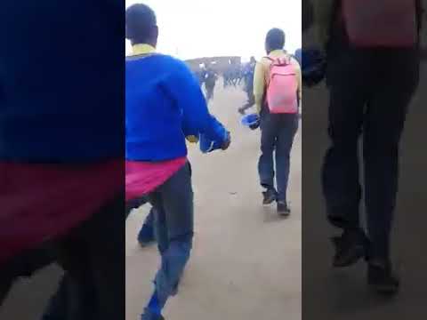 pangastrite cronica WATCH: Pangas used in fight between Limpopo learners