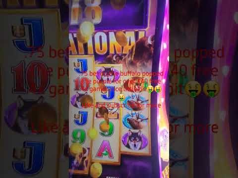 Your Biggest Slot Wins – #51 / 2025