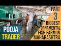 Biggest ornamental fish farm in maharashtra  part 3  pooja trader  fish farm  fish farming