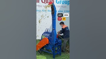 Máy băm cỏ băng tải cỡ lớn 3T băm nhỏ hàng chục tấn cỏ cây thân mềm mỗi ngày