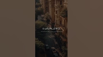 ذَٰلِكَ بِمَا قَدَّمَتۡ يَدَاكَ | محمد صديق المنشاوي | سورة الحج