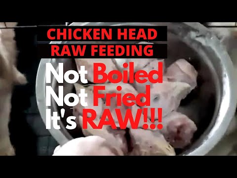 Video: Basahin Ang AVMA Raw Meat Patakaran - Nutrisyon Na Aso