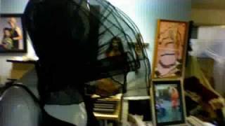 Gaga Haute Couture Sweety Doll.ing