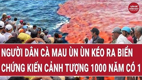 Cảnh tượng kỳ dị vừa xuất hiện ở biển Cà Mau, đông nghịt người dân ra chứng kiến