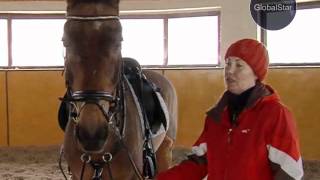 GLOBAL STAR TV P.R.O.HORSE #26 АХАЛТЕКИНСКАЯ ПОРОДА GLOBAL STAR TV P.R.O.HORSE #26 АХАЛТЕКИНСКАЯ ПОРОДА