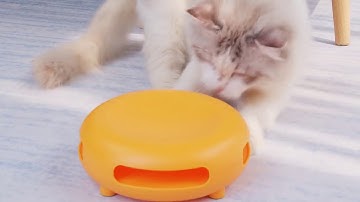 Interactive Smart Cat Toy with Rotating Feather