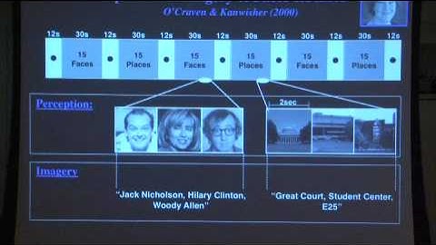 Nancy Kanwisher: What Can Brain Imaging Tell Us About the Developing Child