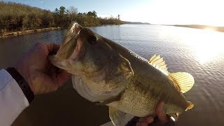 Pre-Spawn Bass Fishing 2018 ! Catching Bass With Live Shiners