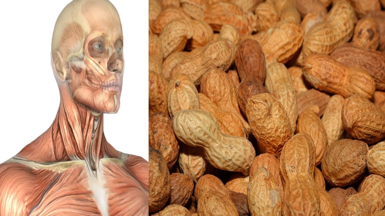 FAAIDOOYINKA LAGA YAABO INAADAN KA OGEEN LOOWSKA