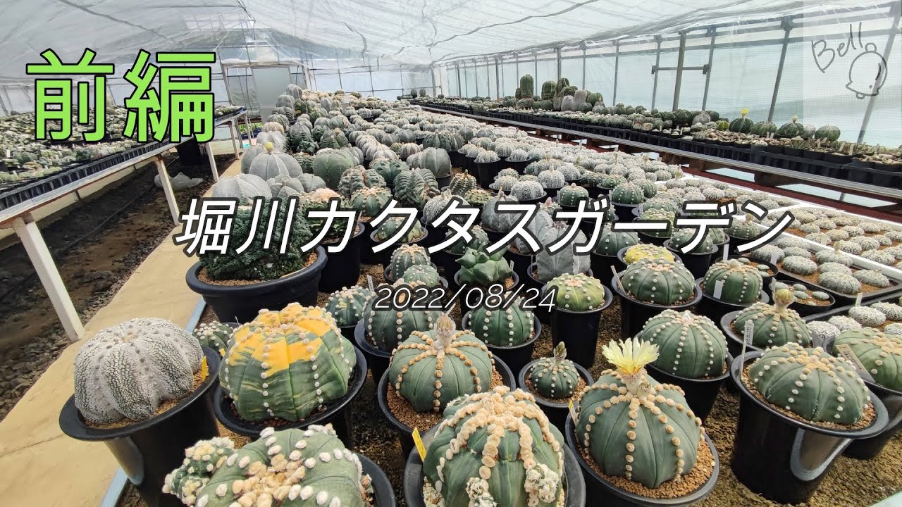 堀川カクタスガーデンへ行ってきました！ 「前編」 - YouTube