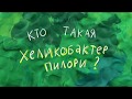 О хеликобактер пилори за 1 минуту. Лечение и симптомы helicobacter pylori в желудке