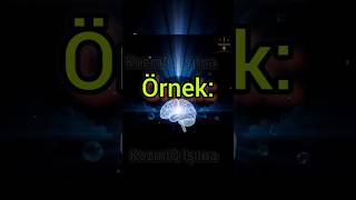 Beynimizin %90&#39;ı Gerçekten Kullanılmıyor Mu? |🧠 #beyin #bilimselanaliz #bilim #trendingshorts