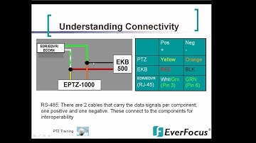 EPTZ Part 4: An Introduction to the EPTZ Connectivity