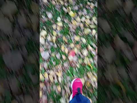 QUIZここはどこでしょうか？Where is this? #asmr #quiz #walking