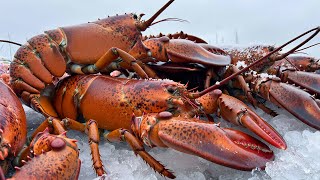Spiny Lobster Fishing & Processing  Extreme Ocean Harvest to Factory  Full Documentary