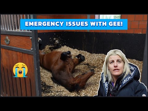 Video: Kā ārstēt ievainotu zirgu, kad nav pieejams veterinārārsts