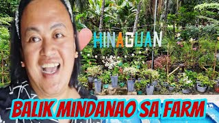 Balik Mindanao Sa Farm Ni Momshie G