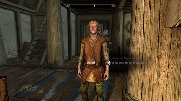 Skyrim: The Age of Aggression- Mikael