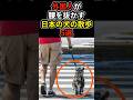 外国人が腰を抜かす日本の犬の散歩5選#海外の反応 #日本