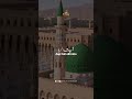 Ap Hain Dil Nasheen #Shorts #Naat #NaatStatus #UrduNaat #IslamicShorts #MustafaMustafa