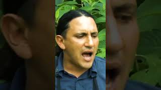 Local tour guide to San José, Costa Rica #travel #Shorts
