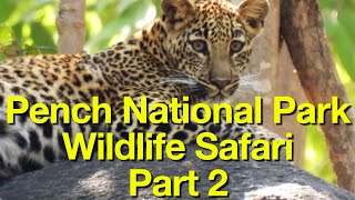Pench National Park - Part 2 | Wildlife Safari | The High Roads | Baghvan a Taj Safari | Jungle book
