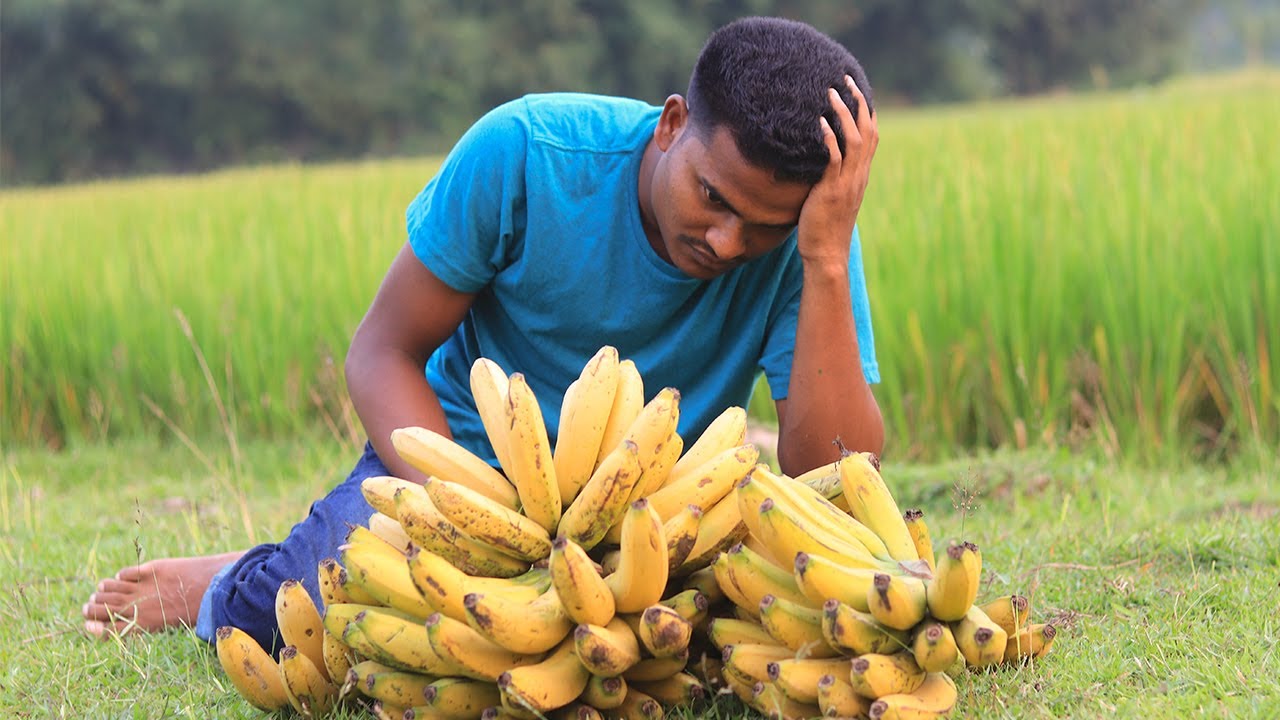 Banana Ripening Primitive Way to Ripening Banana in Garden (Episode 3) YouTube