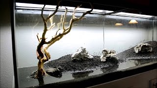 Приобрел растения! Посадка аквариумных растений! Как сажать аквариумные растения в грунт! Приобрел растения! Посадка аквариумных растений! Как сажать аквариумные растения в грунт!