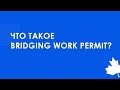 Что такое bridging work permit?