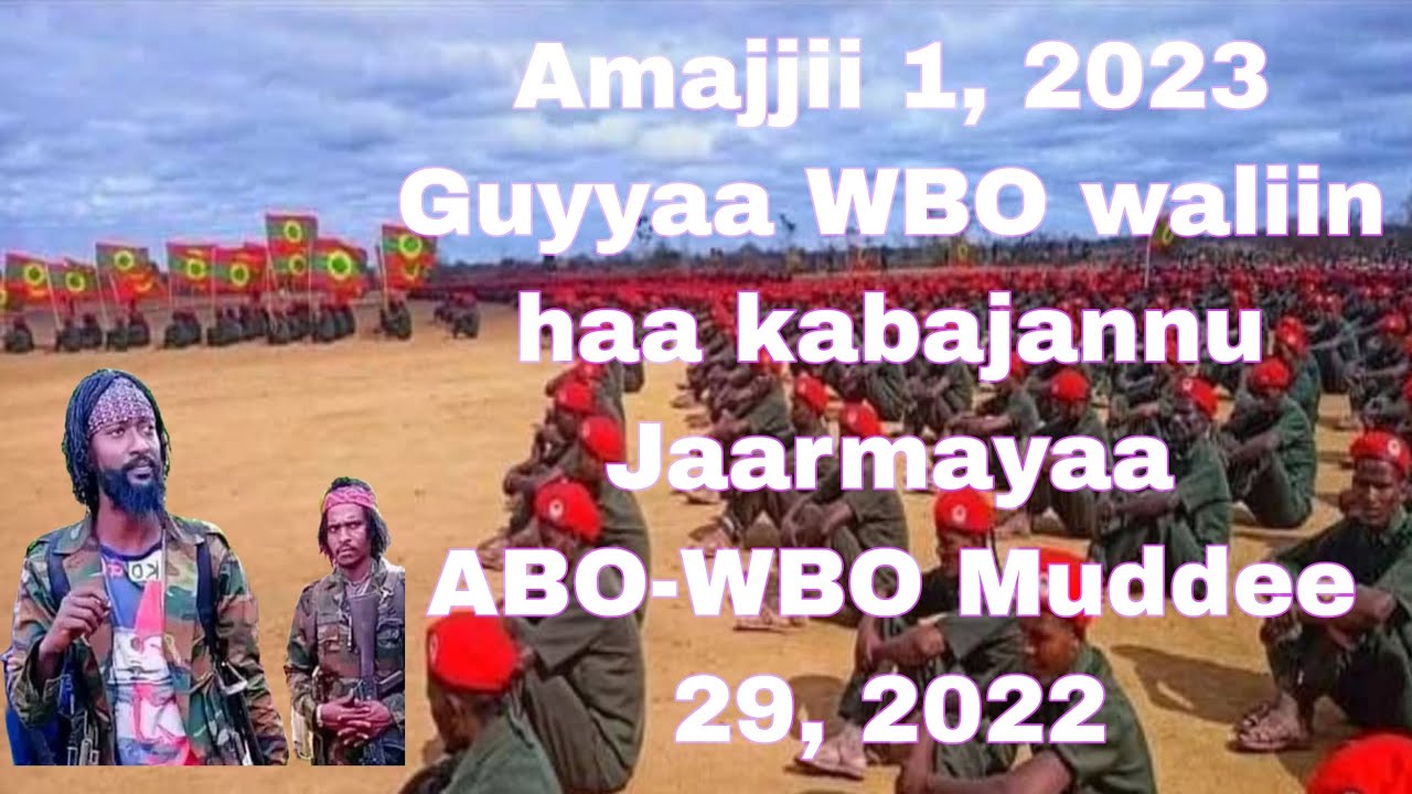 Amajjii 1 2023 Guyyaa Wbo Waliin Haa Kabajannu Jaarmayaa Abo Wbo