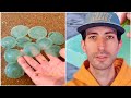 Best Oddly Satisfying Video | CCS Reacts
