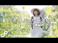 夏、忘れてしまったことを拾いに(ピアノ生演奏):ポケットサウンドフリーBGM素材【神秘的/爽やか】