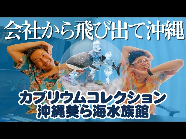 カプリウム沖縄美ら海】会社から飛び出て沖縄へGO！！ - YouTube