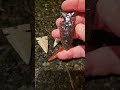 Recent point showcase