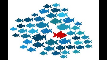 outlier analysis using  ELLIPTICAL ENVELOPE algorithm