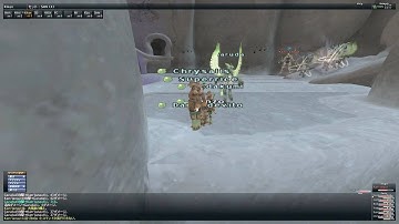 ZM8 Return to Delkfutt