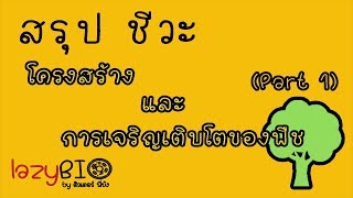 สรุปชีวะ โครงสร้างและหน้าที่ของพืชดอก ep1