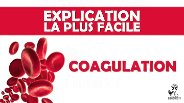 Qu'est-ce qui provoque la coagulation du sang ?